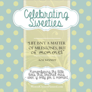 Celebrating Sweeties Wanted Chosen Planned Alexis Marie Chute BLOG